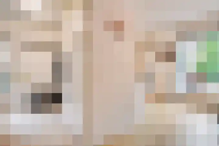 Jeroen Boschstraat 11 Ommen thumbnail 10