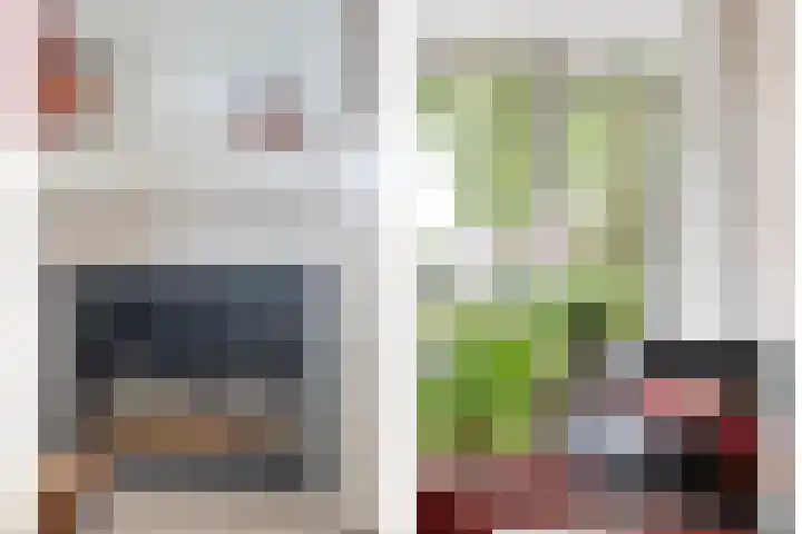 Jeroen Boschstraat 11 Ommen thumbnail 13