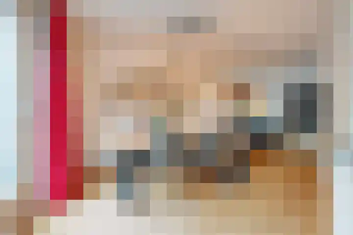 Jeroen Boschstraat 11 Ommen thumbnail 16