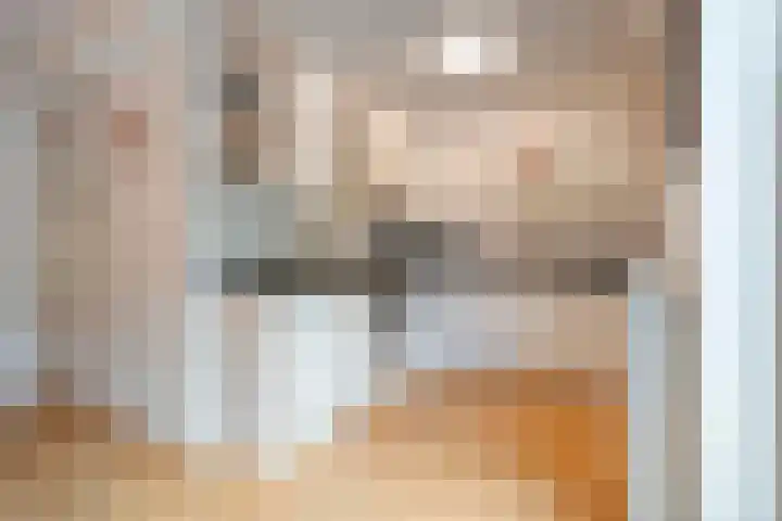 Jeroen Boschstraat 11 Ommen thumbnail 18