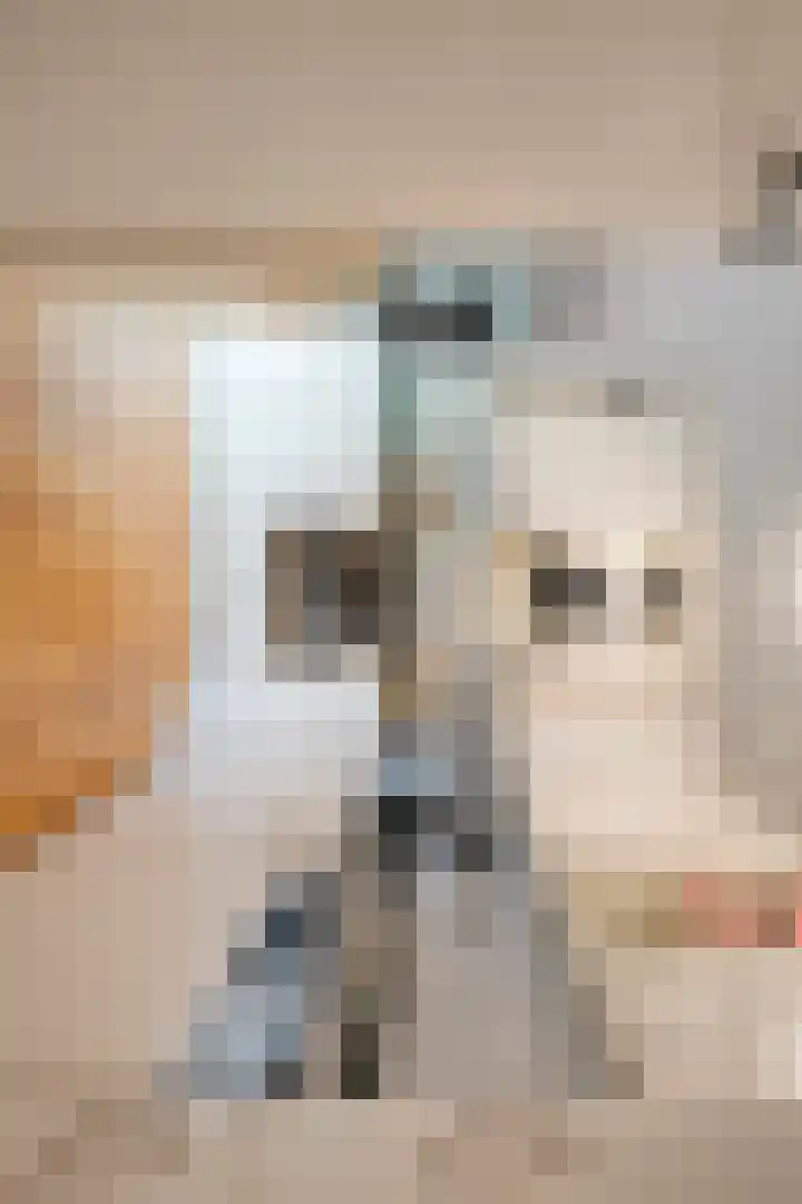 Jeroen Boschstraat 11 Ommen thumbnail 19