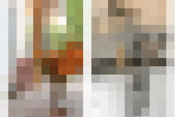 Jeroen Boschstraat 11 Ommen thumbnail 20