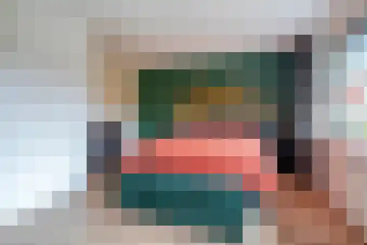 Jeroen Boschstraat 11 Ommen thumbnail 25