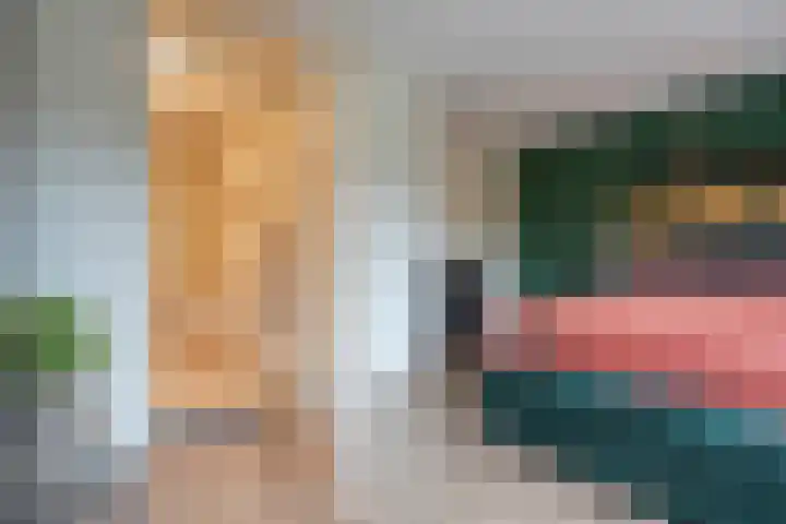 Jeroen Boschstraat 11 Ommen thumbnail 26