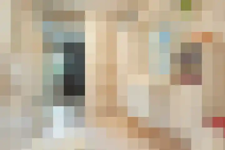 Jeroen Boschstraat 11 Ommen thumbnail 28