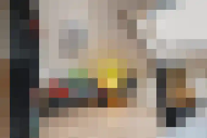 Jeroen Boschstraat 11 Ommen thumbnail 37