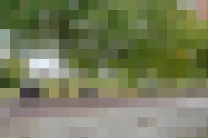Jeroen Boschstraat 11 Ommen thumbnail 4