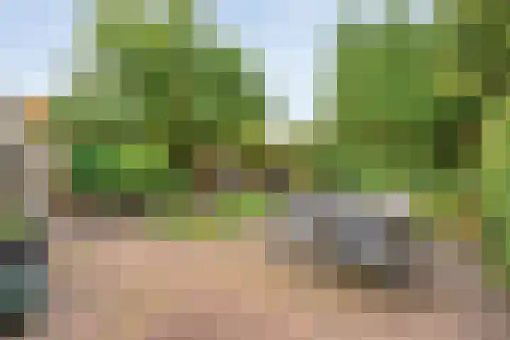 Jeroen Boschstraat 11 Ommen thumbnail 40