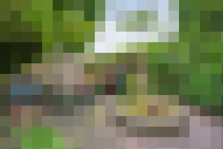 Jeroen Boschstraat 11 Ommen thumbnail 41