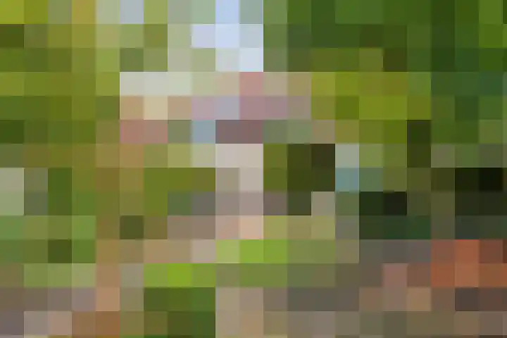 Jeroen Boschstraat 11 Ommen thumbnail 42