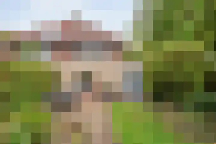 Jeroen Boschstraat 11 Ommen thumbnail 43
