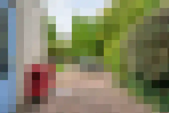 Jeroen Boschstraat 11 Ommen thumbnail 46