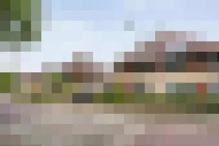Jeroen Boschstraat 11 Ommen thumbnail 5