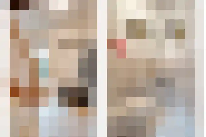 Jeroen Boschstraat 11 Ommen thumbnail 8