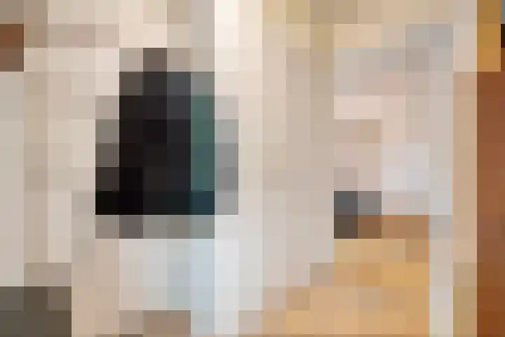 Jeroen Boschstraat 11 Ommen thumbnail 9