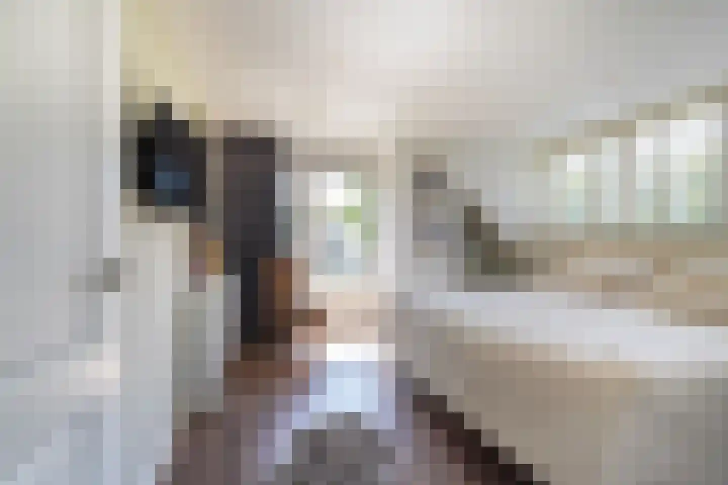 Jeroen Boschstraat 11 Waalwijk thumbnail 30