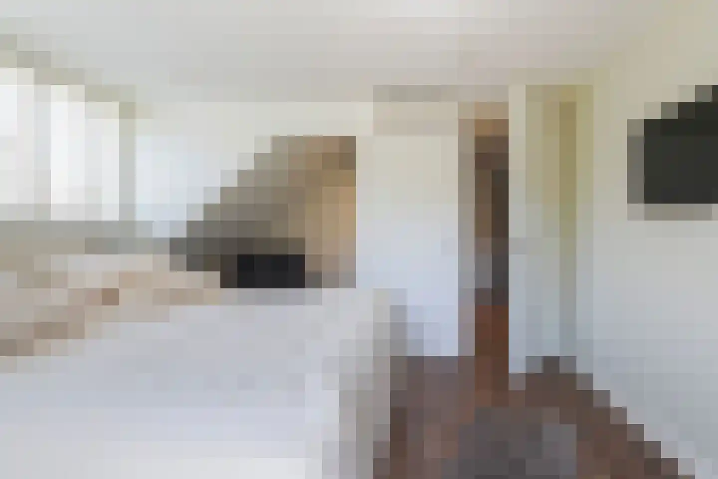 Jeroen Boschstraat 11 Waalwijk thumbnail 31