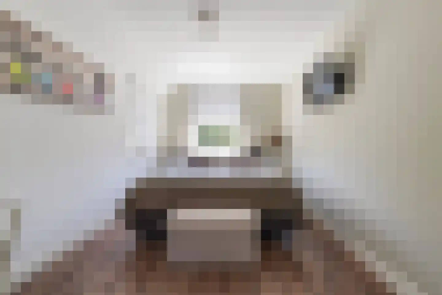 Jeroen Boschstraat 11 Waalwijk thumbnail 34
