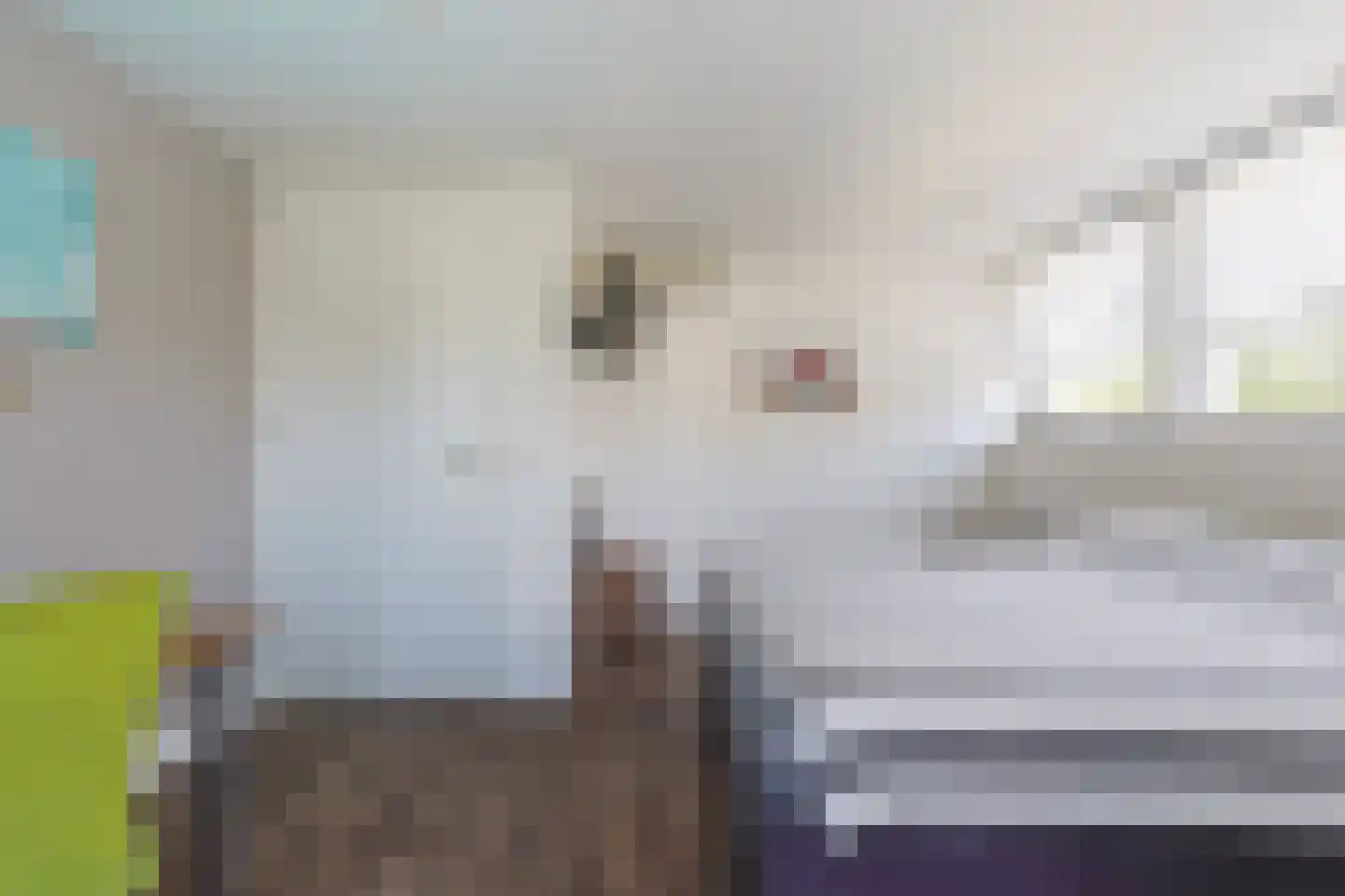 Jeroen Boschstraat 11 Waalwijk thumbnail 37