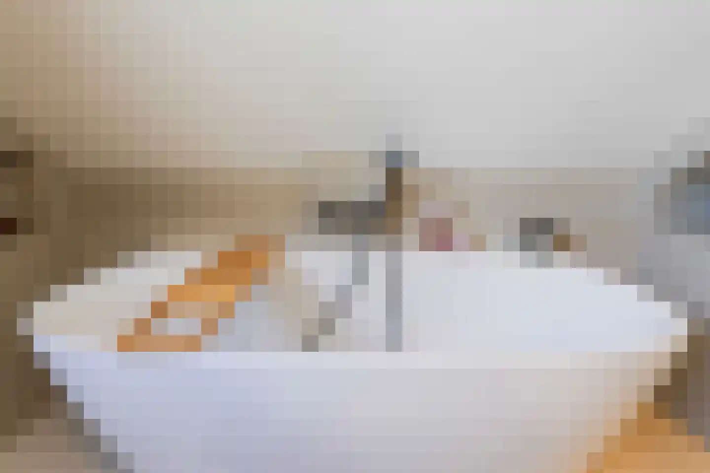 Jeroen Boschstraat 11 Waalwijk thumbnail 41
