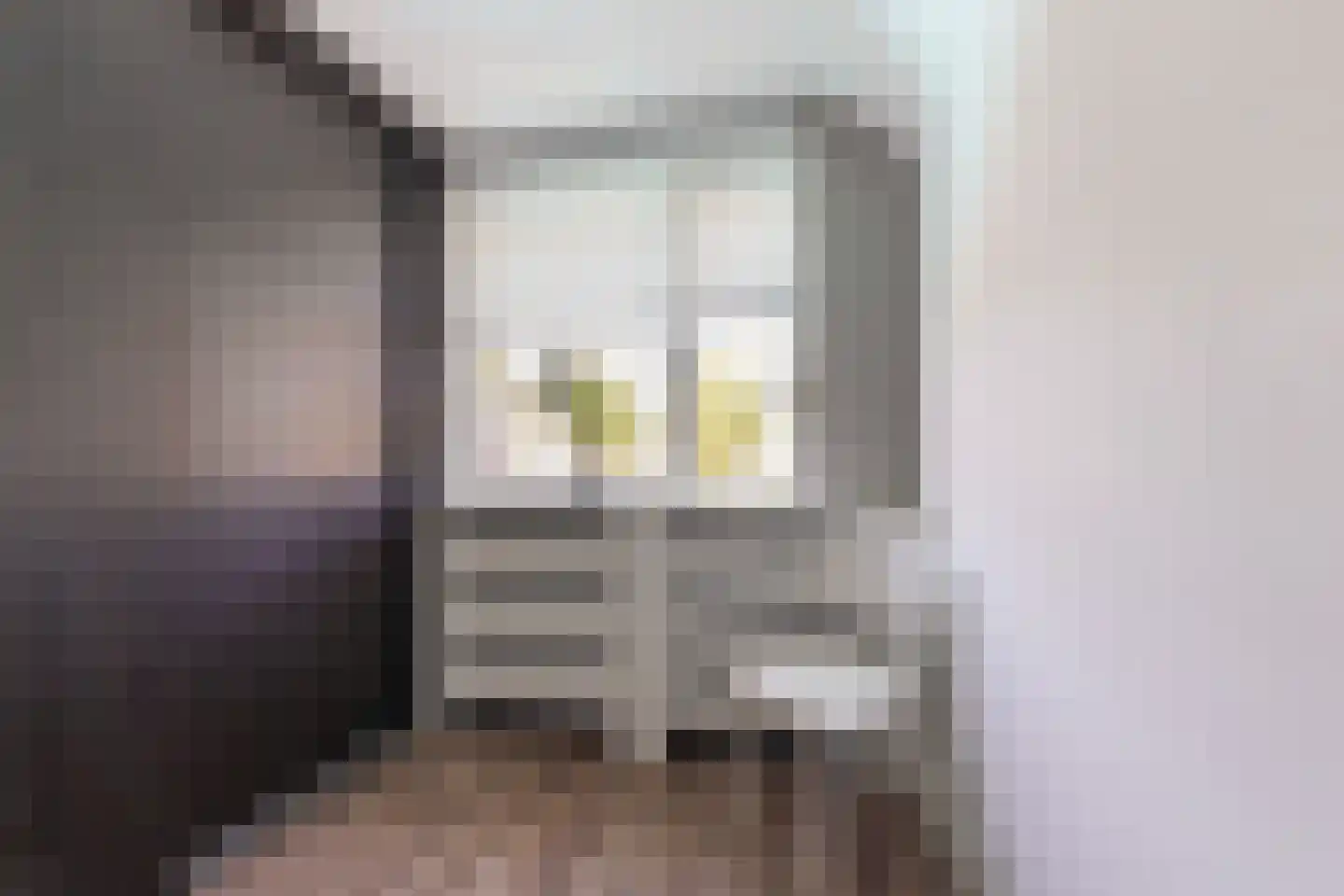 Jeroen Boschstraat 11 Waalwijk thumbnail 44