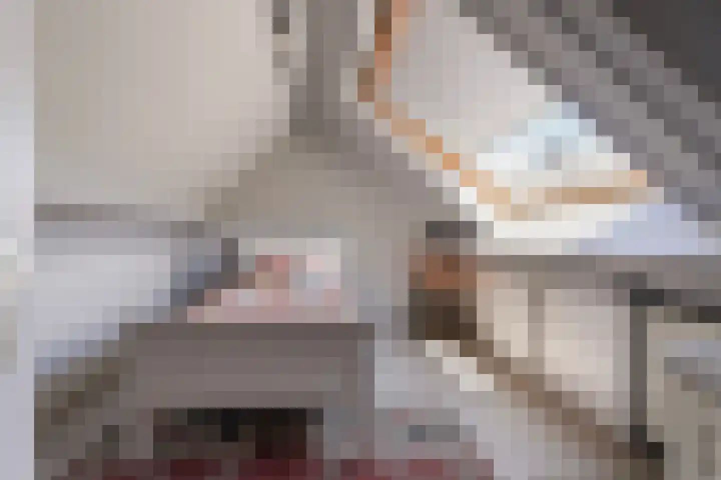 Jeroen Boschstraat 11 Waalwijk thumbnail 47