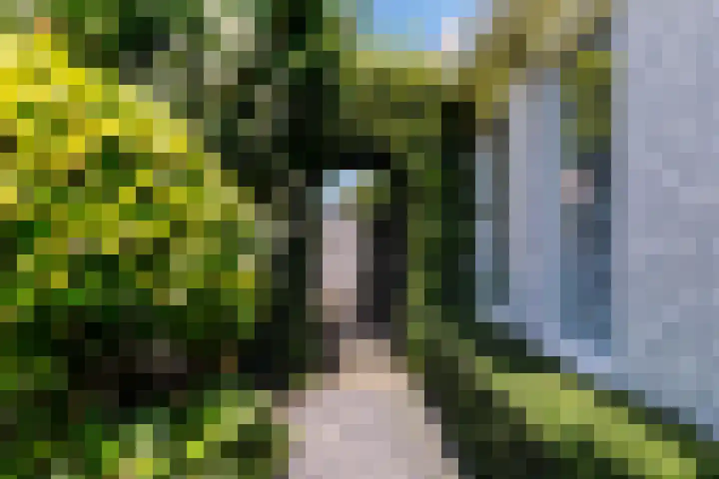 Jeroen Boschstraat 11 Waalwijk thumbnail 60