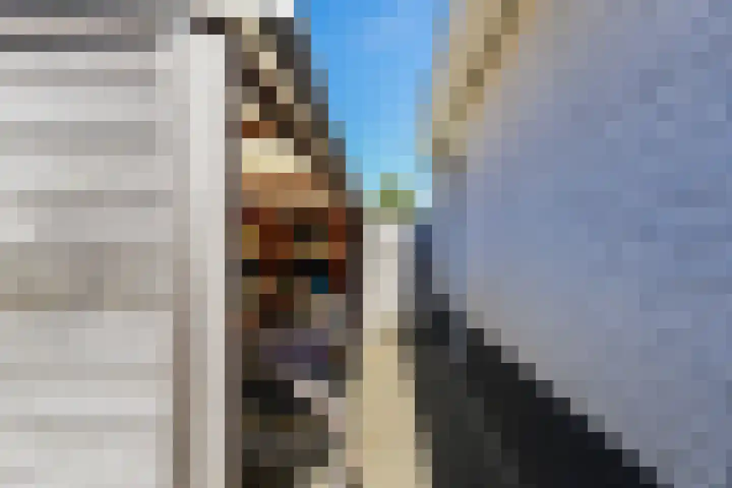 Jeroen Boschstraat 11 Waalwijk thumbnail 61