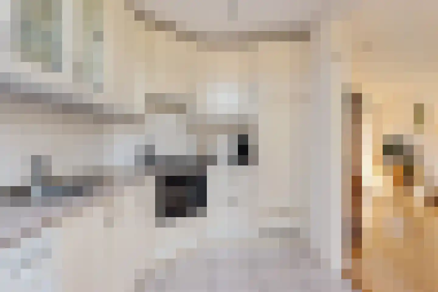 Jeroen Boschstraat 12 Akersloot thumbnail 16