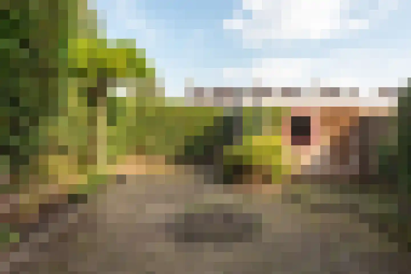 Jeroen Boschstraat 12 Akersloot thumbnail 28