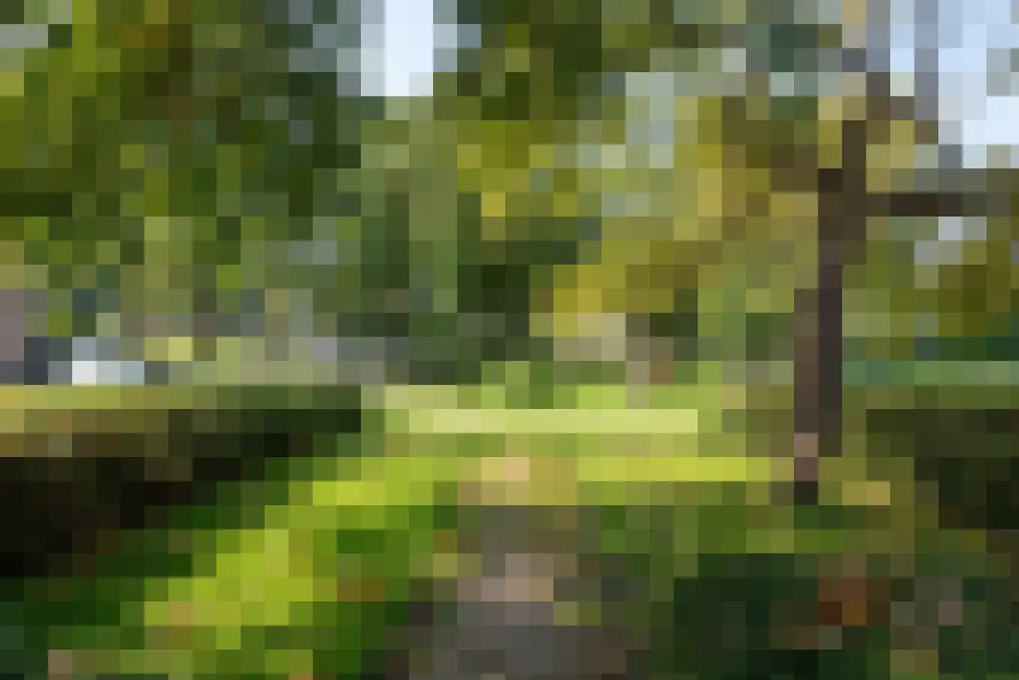 Jeroen Boschstraat 12 Akersloot thumbnail 37