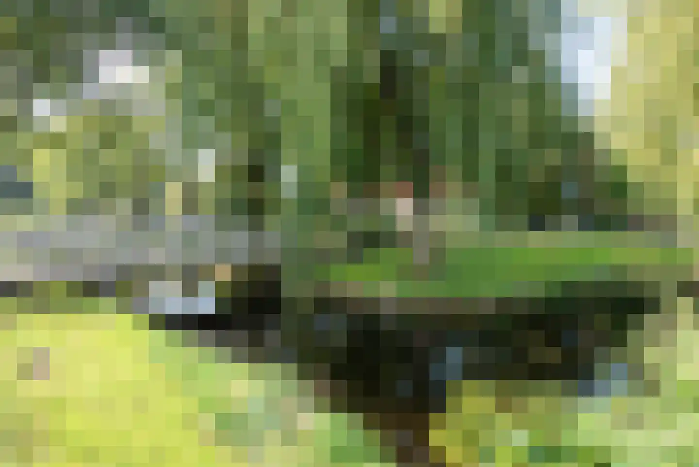 Jeroen Boschstraat 12 Akersloot thumbnail 38