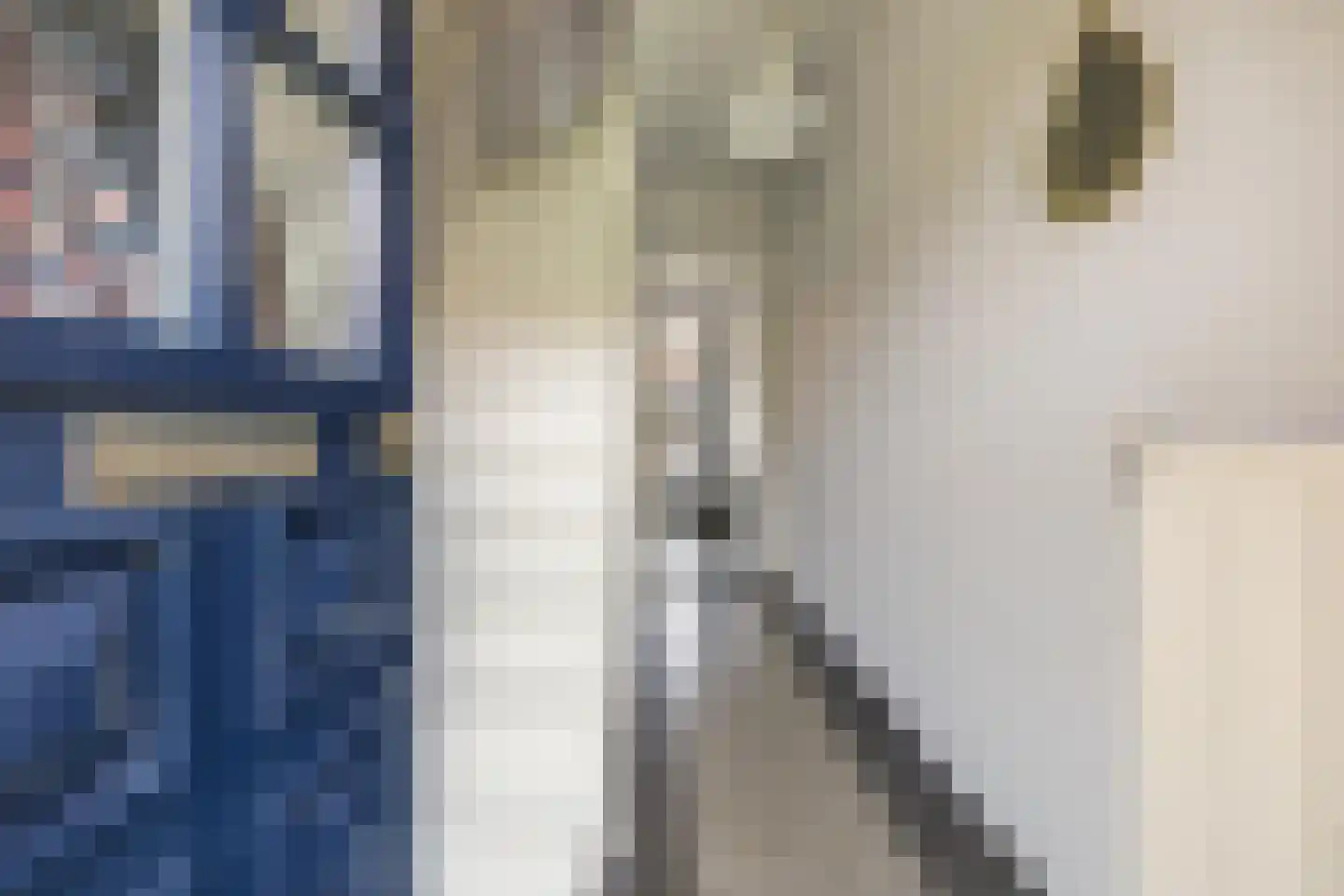 Jeroen Boschstraat 12 Breda thumbnail 10