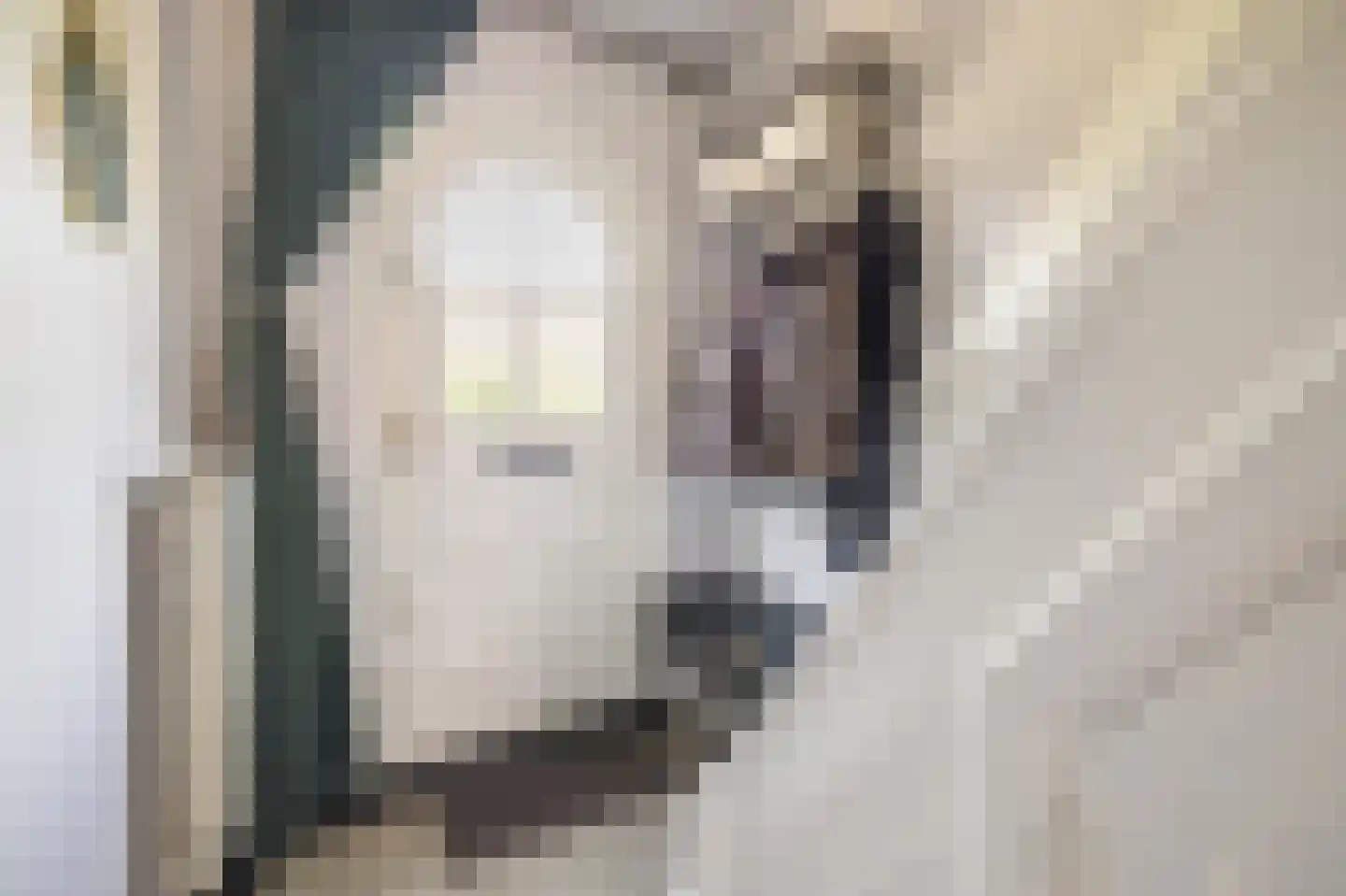 Jeroen Boschstraat 12 Breda thumbnail 13