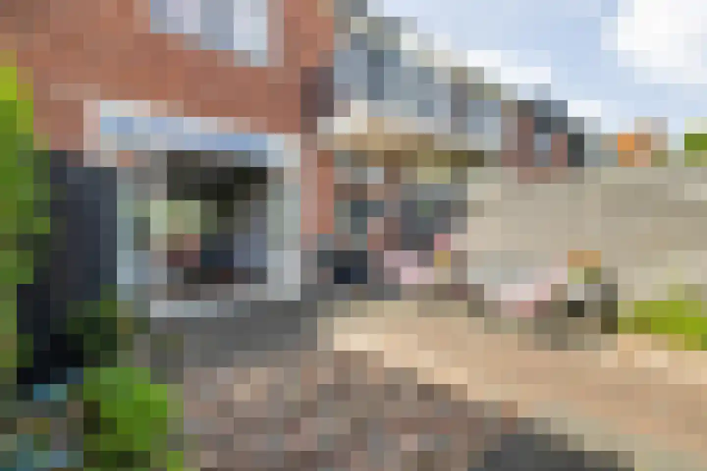 Jeroen Boschstraat 12 Breda thumbnail 50