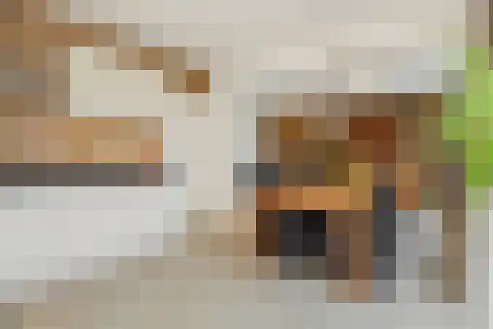 Jeroen Boschstraat 12 Vinkel thumbnail 10
