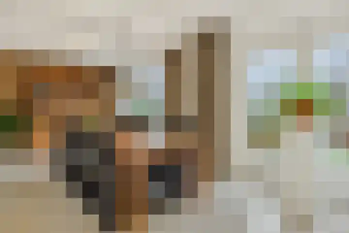 Jeroen Boschstraat 12 Vinkel thumbnail 11