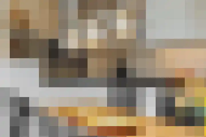 Jeroen Boschstraat 12 Vinkel thumbnail 12