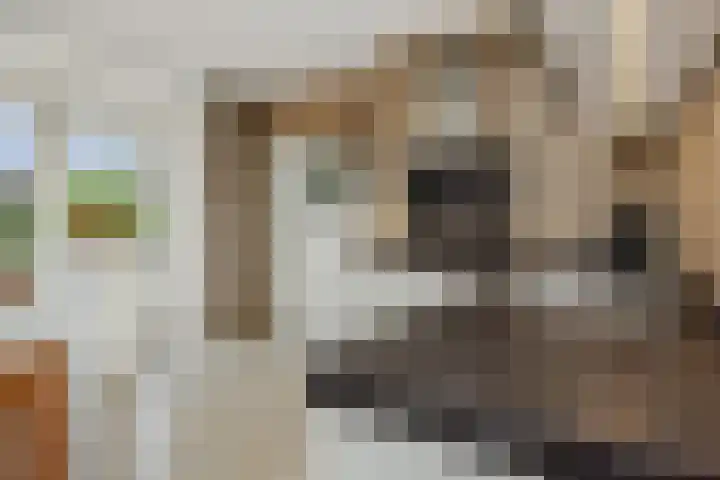 Jeroen Boschstraat 12 Vinkel thumbnail 13