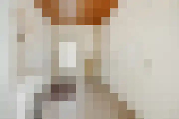 Jeroen Boschstraat 12 Vinkel thumbnail 15