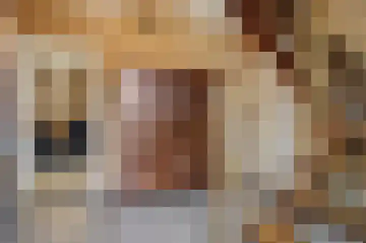 Jeroen Boschstraat 12 Vinkel thumbnail 18