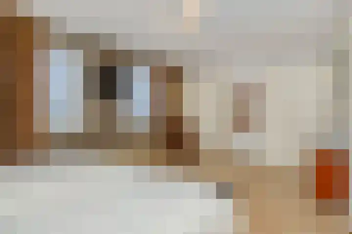 Jeroen Boschstraat 12 Vinkel thumbnail 21
