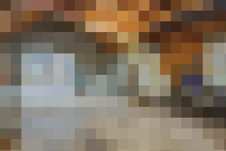 Jeroen Boschstraat 12 Vinkel thumbnail 29