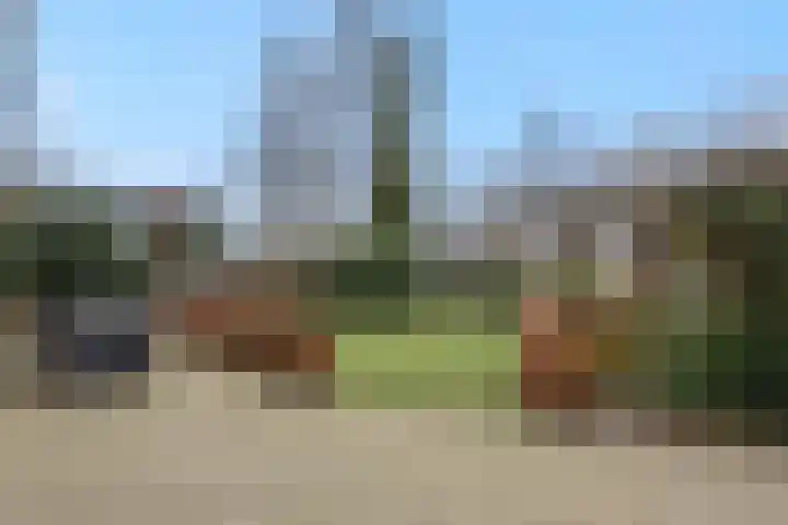 Jeroen Boschstraat 12 Vinkel thumbnail 30