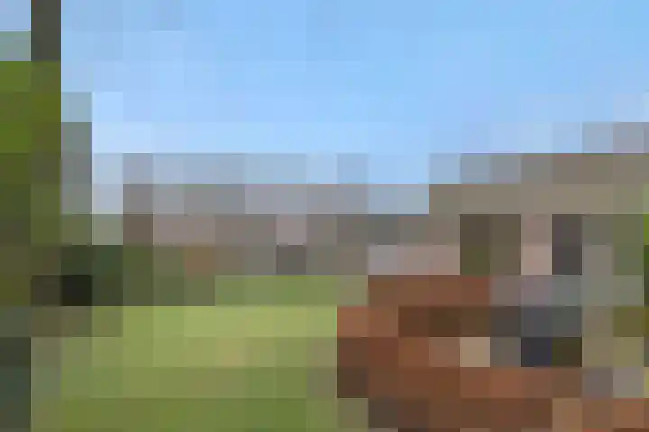 Jeroen Boschstraat 12 Vinkel thumbnail 32