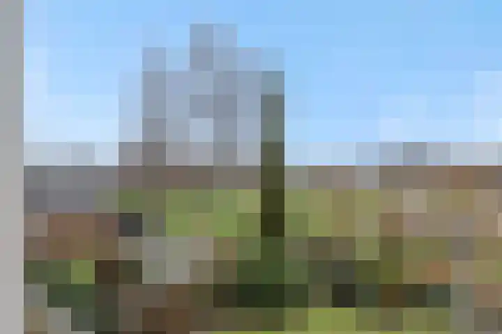 Jeroen Boschstraat 12 Vinkel thumbnail 34