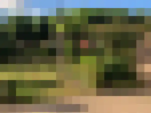 Jeroen Boschstraat 12 Vinkel thumbnail 36