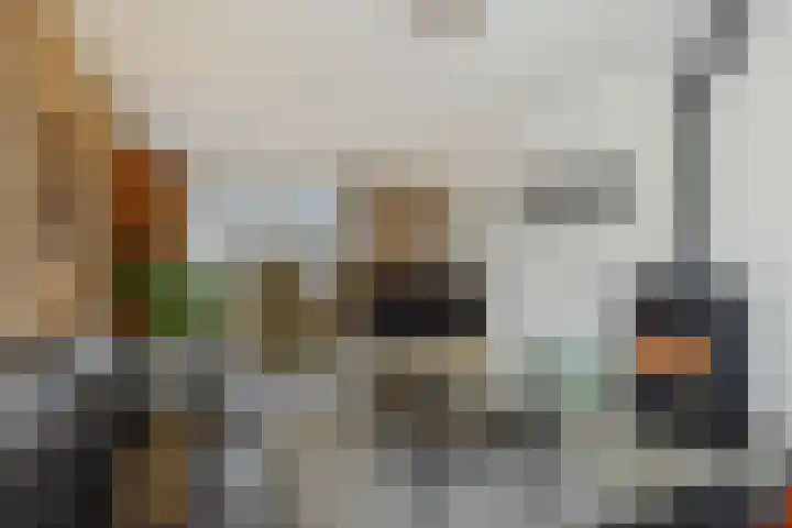 Jeroen Boschstraat 12 Vinkel thumbnail 4