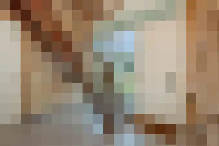 Jeroen Boschstraat 12 Vinkel thumbnail 6