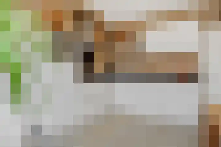 Jeroen Boschstraat 12 Vinkel thumbnail 9